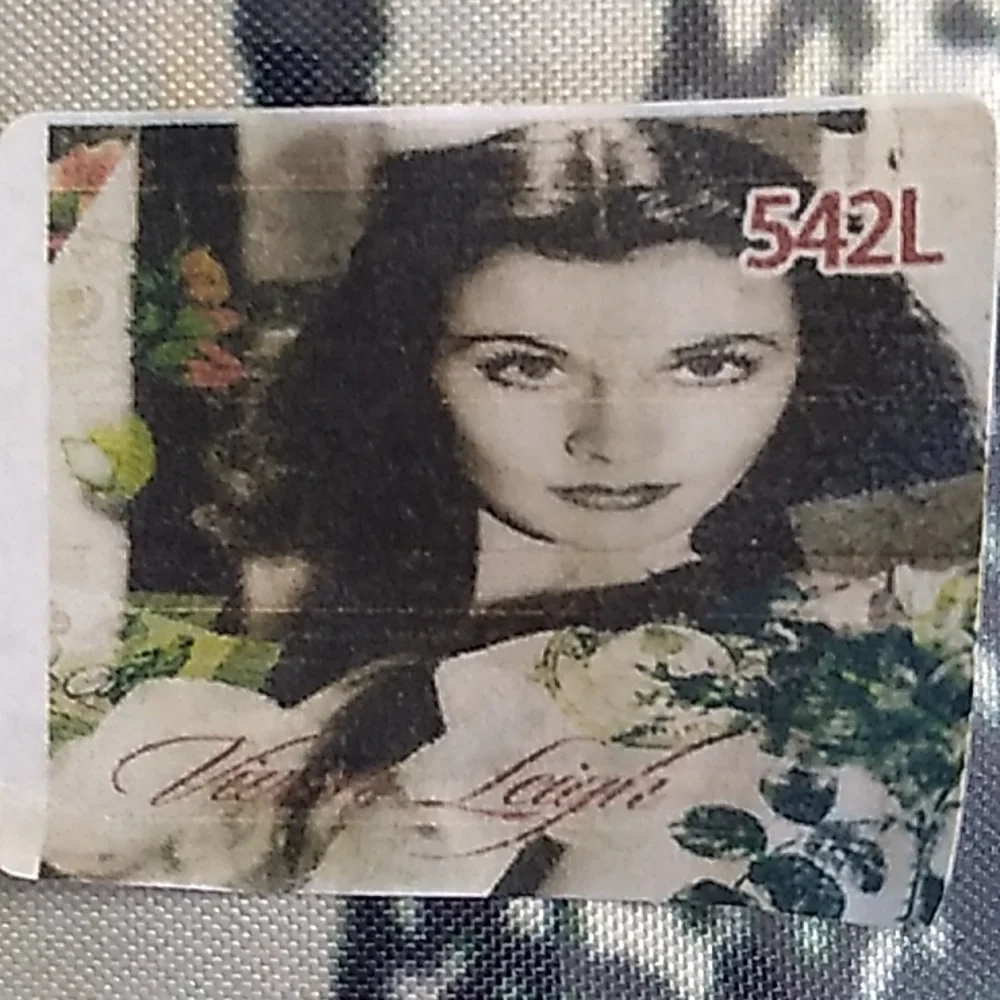 Rare Vivien Leigh shower curtain